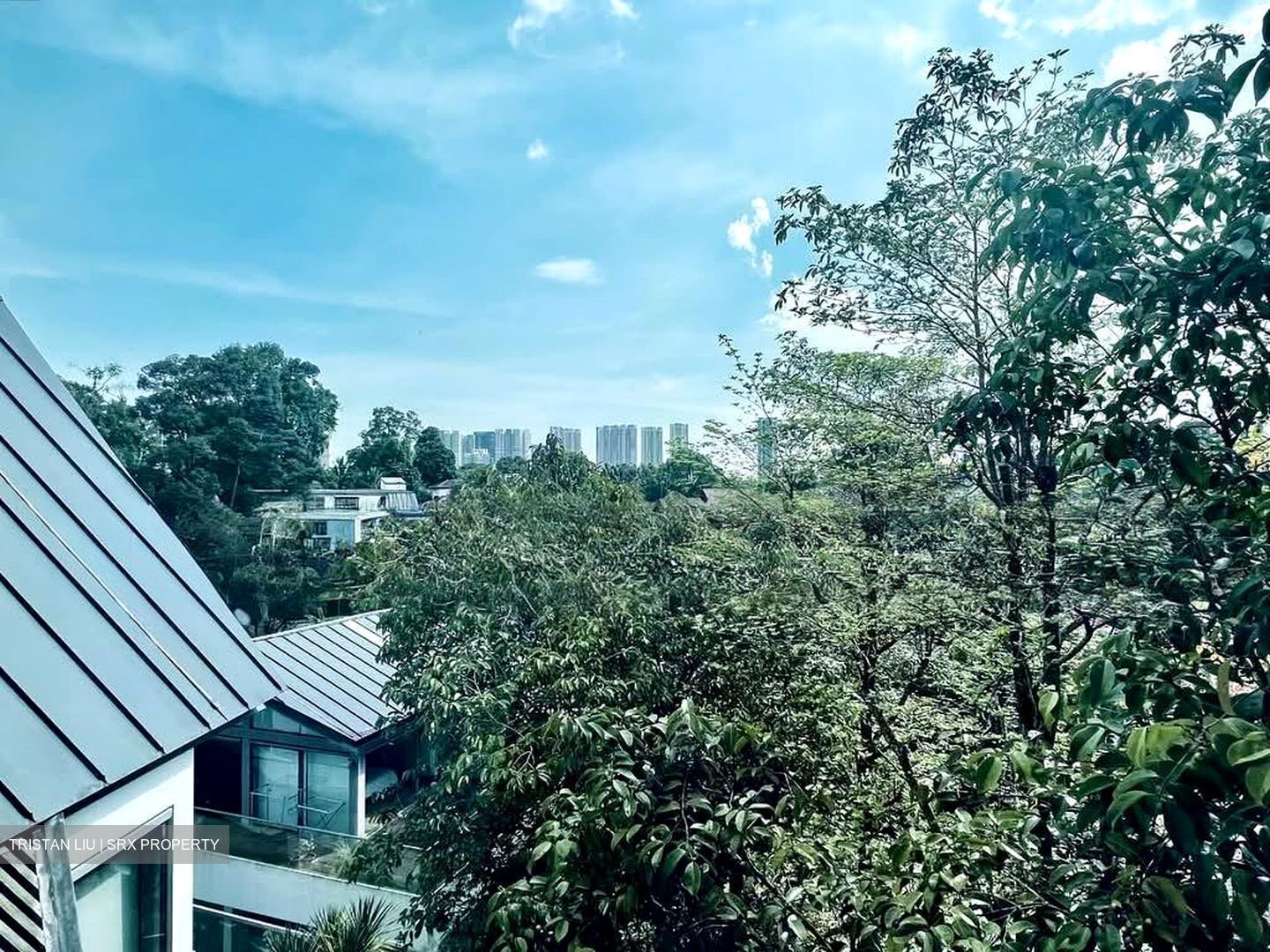 The Holland Collection (D10), Apartment #555976311
